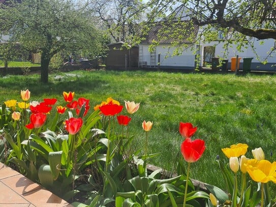 Grundstück mit Baugenehmigung für Einfamilienhaus in Inningen!