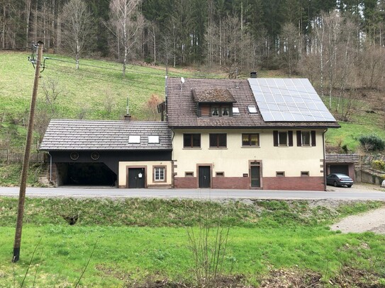 Zweifamilienhaus-1,73 ha Wald und Wiesen, Alleinlage, PV-Anlage, eigene Quelle, am Wildbach