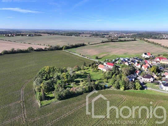 Gartenparzellen und freie Wiesenflächen (ca. 1,6 ha) zw. Zeitz und Altenburg