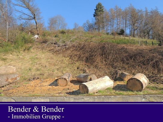 Schönes Baugrundstück am Waldrand mit Fernblick - nähe Daaden!