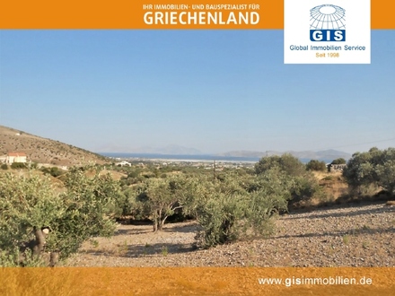 +++ GRIECHENLAND - KOS - GRUNDSTÜCK: Traumhaft gelegen mit vielen Olivenbäumen in Meernähe bei Tigaki +++