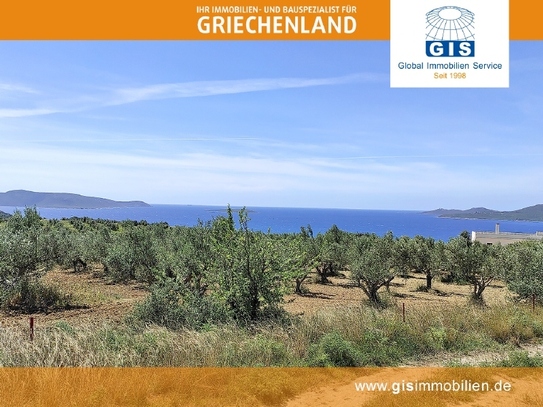 +++ Griechenland - Grundstück - Südwest-Peloponnes: Nur 600 Meter zum Strand - mit unverbaubarem Meerblick +++