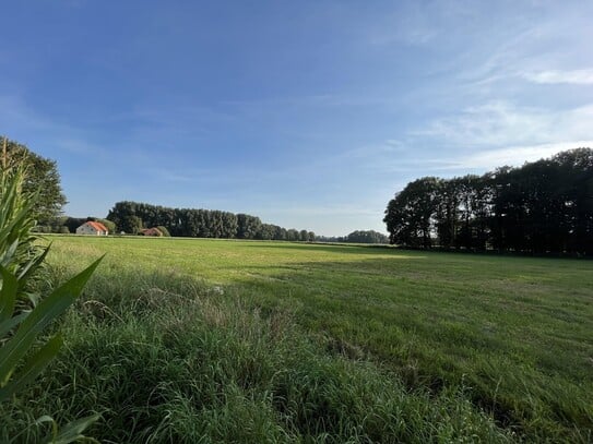 Haus im Grünen, Bad Rothenfelde, Versmold zu vermieten