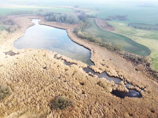 Fischgewässer in der Uckermark: mit Zugangsgrundstücken zum Wollenthinsee ca. 2,50 Meter tief