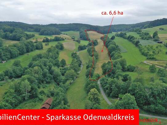 6,6 ha Grünland (Wiese) - Arrondierte Fläche!