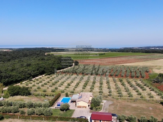 Haus mit Pool und Meerblick in der Nähe von Novigrad