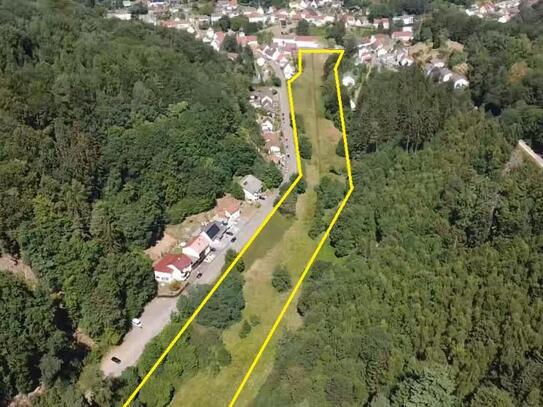 +++ Für Naturliebhaber und Bauherren: 23432 m² fast ebenes und sonniges Grundstück mit Bachlauf +++