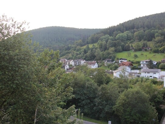 Neubau-Moderne Häuser in Bad Wildbad, profisionsfrei!