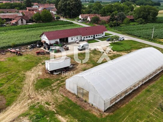 VIROVITICA, PITOMAČA – Haus und geräumiges Grundstück mit Gewächshäusern für den Gemüseanbau