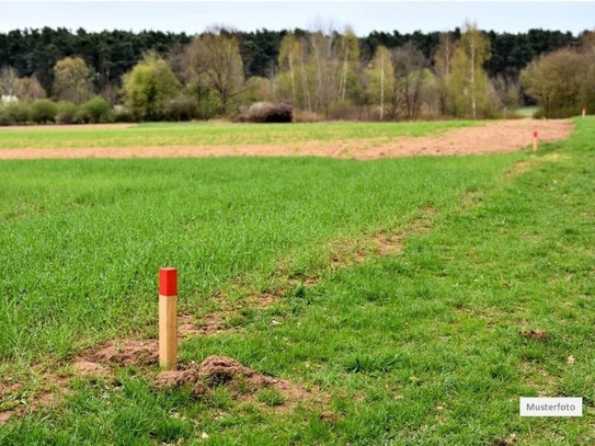 Land- / Forstwirtschaft in 93453 Neukirchen, Kaltwasserwiesen