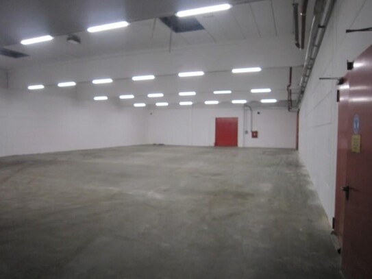 Lagerhallen 72 m² und 540 m² im Industriegebiet NUR 2,75 €/m²