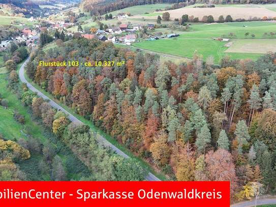 5,2 ha Wald