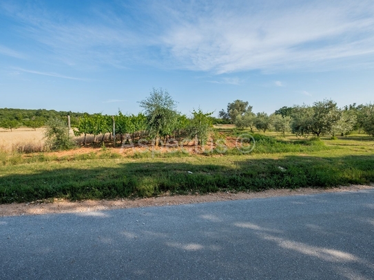 Grundstück nahe der Urbanisierungsgrenze, Gradina, Vrsar