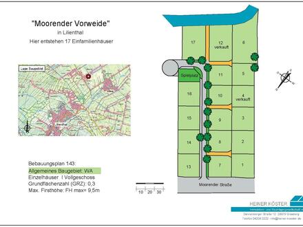 Moorender Vorweide