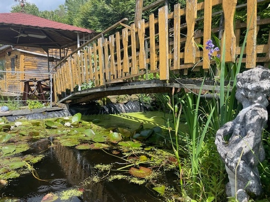 Haus mit viel Platz für Familie und geliebte Vierbeiner