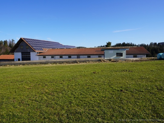 Bauernhof in Alleinlage mit 135359 m ² landwirtschaftliche Wiesen und Wald bei Kempten