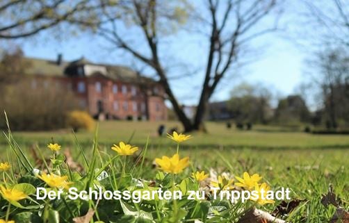 Stilvolles Wohnen muss nicht teuer sein! Erdgeschosswohnung mit tollem Ausblick zu verkaufen.