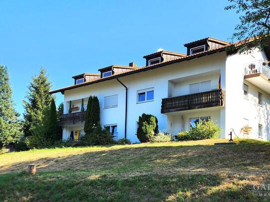 Helle 2 Zimmer-Souterrain-Wohnung mit Terrasse und Stellplatz