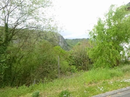 Grundstück mit unverbaubarer Sicht auf den Rhein