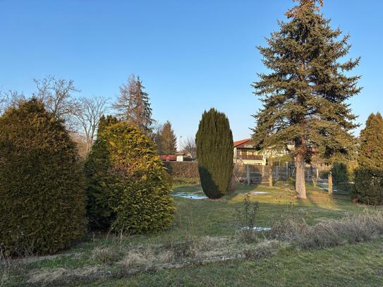 Einfamilienhaus mit großem Grundstück in Nebra / !!