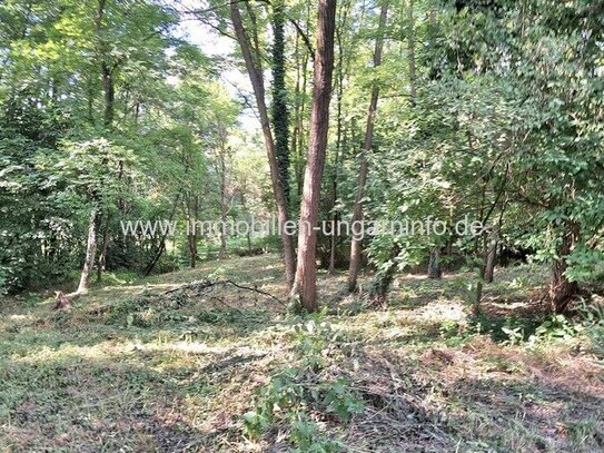 Geschlossene Garten mit See und Wald in der Nähe von Nagykanizsa zu verkaufen