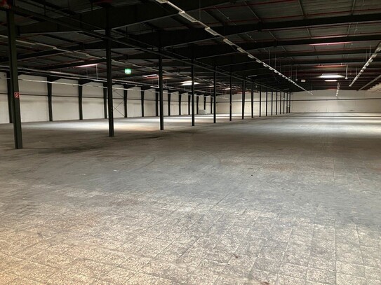 Büro Verwaltung Lagerung Lagerfläche Filmproduktion Produktion Halle 20.000 m² ab 500 m² teilbar