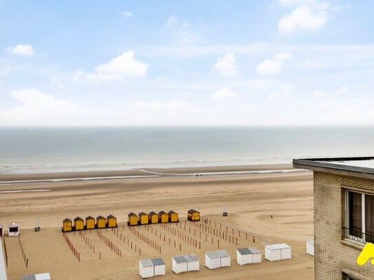 Sonnendurchflutete Ferienwohnung in direkter Strandlage in De Panne, Westflandern, Belgien