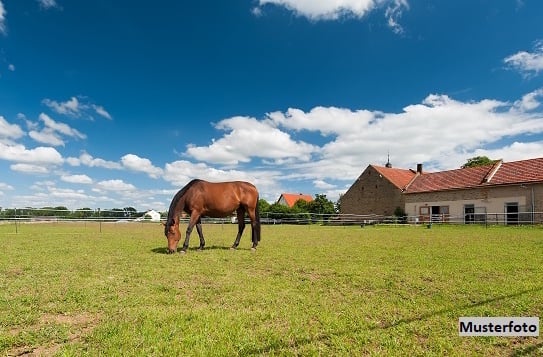 Für Pferdeliebhaber! Grundstück mit Pferdestall und Paddock - provisionsfrei