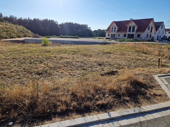 Traumhaftes Baugrundstück in Leinburg-Weißenbrunn