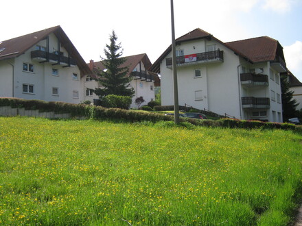 3 Raum Wohnung in Struth-Helmershof
