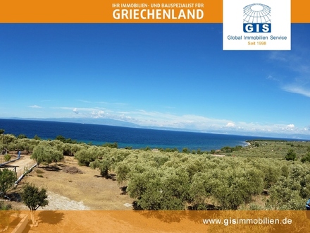 +++ GRIECHENLAND-THASSOS-GRUNDSTÜCK: 150 Meter zum Strand - Exzellentes Grundstück mit Olivenbäumen, Südwestküste +++