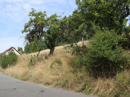 Baugrundstück in Hanglage von Rothenbuch PROVISIONSFREI