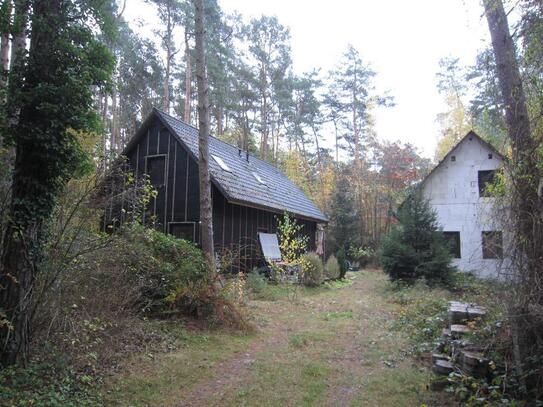 Einzigartiges Waldgrundstück mit zwei Häusern in Metel bei Neustadt am Rübenberge! Kein Pachtgrundstück!