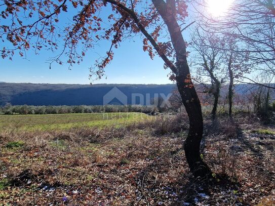 Istrien, Labin, Pićan – Völlige Abgeschiedenheit und eine wunderschöne Aussicht!! Bauland 750 m2 und Agrarland 692 m2