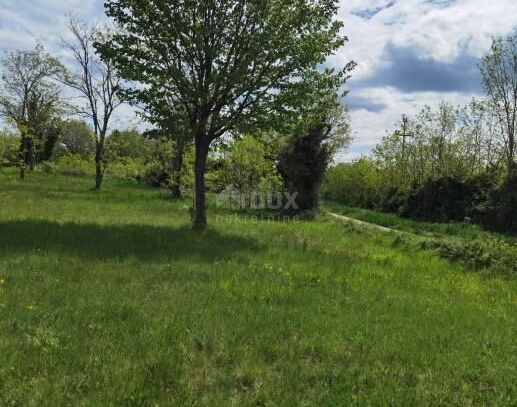 ISTRIEN, VIŠNJAN - BAUGRUNDSTÜCK ZUM BAU VON VILLEN ODER FERIENHAUSERN