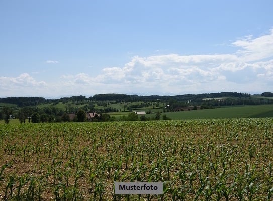 Land-/Forstwirtschaftsflächen