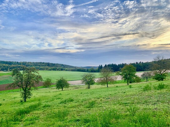 3–Zimmer Wohnung mit herrlichem Blick und großer Terrasse