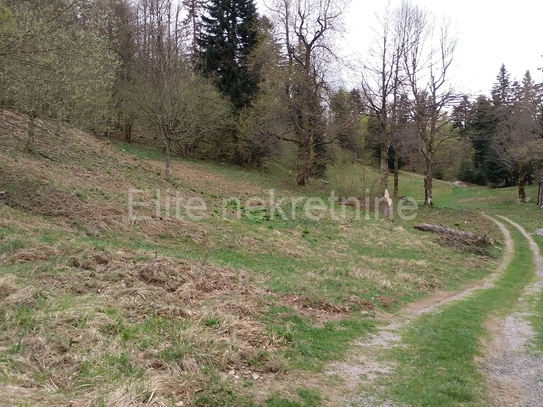 Crni lug - Verkauf von landwirtschaftlichen Flächen von 15.876 m2!