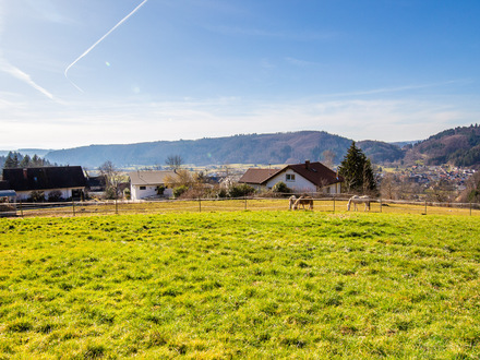 Ideal gelegene Baugrundstücke in Schopfheim-Raitbach