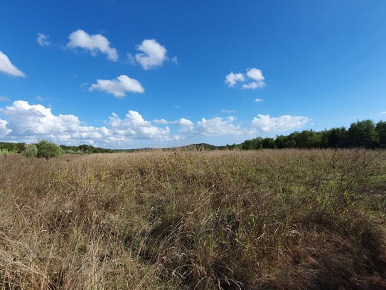 Landwirtschaftliche Fläche in der Nähe der Stadt Poreč, 44.885 m², zusammenhängend