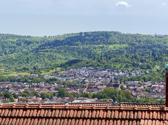 Traumhafte Wohnung mit Aussicht und großer Terrasse, Kernsanierung 2024,