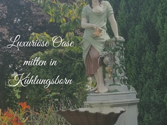 Luxuriöse Oase mitten in Kühlungsborn