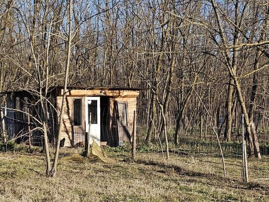 0,4 Hektar großes Grundstück mit Wald in der Nähe des Plattensees zu verkaufen