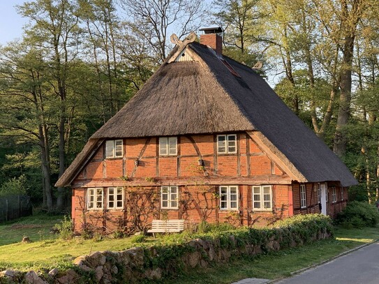 Reetdachhaus mit Potenzial * Teichblick *