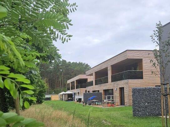 Große, neuwertige 1-Raumwohnung, im 1. OG, 63 qm, mit sonniger Loggia, in Borkheide zu vermieten