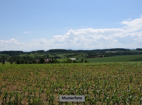 Landwirtschaftsfläche mit Stellplatz und Laube