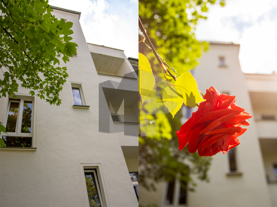 helle freundliche Wohnung mit schöner Dachterrasse