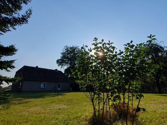 Stadtnahes Bauernhaus ca. 4000m² Grundstück, Garagen Einfamilienhaus Bauernhof bei Pinnow Schwerin