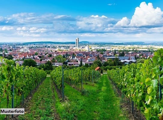 Unbewirtschafteter Weingarten + provisionsfrei +