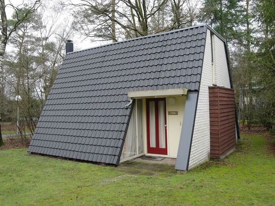 Schönes 4-Personen-Haus mitten im Wald. (2075)